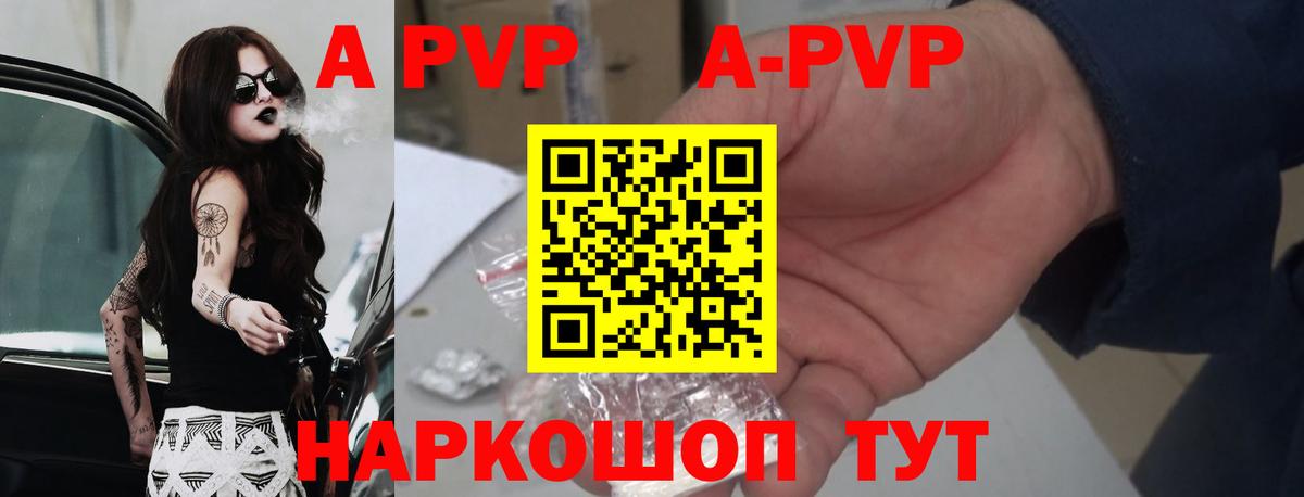 A PVP СК КРИС Севастополь